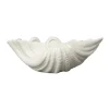 Bol Shell, 9 x 23 cm