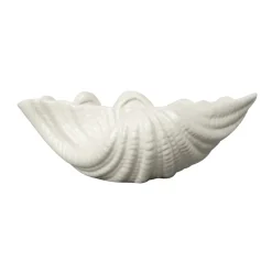 Bol Shell, 9 x 23 cm