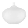 BV Beans AC-20, Blanc