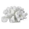 Coral branches white, Small