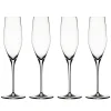 Coupe à champagne Authentis 19 cl lot de 4, transparent