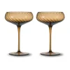Coupe à champagne Opacity 30 cl lot de 2, Marron