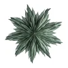 Helena étoile de l'Avent Ø44 cm, Green