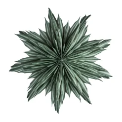 Helena étoile de l'Avent Ø44 cm, Green