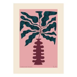 Poster Flower Studies 01 (Canne du muet), 30x40 cm