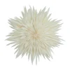 Étoile de l'avent Maja Ø50 cm, White