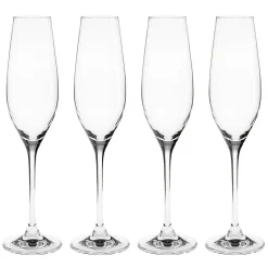 Verre à champagne Karlevi Lot de 4, 21 cl