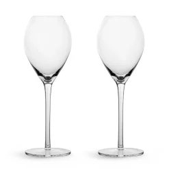 Verre à champagne Saga Lot de 2, Transparent