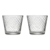 2 verres à boire Tundra 29 cl, Transparent